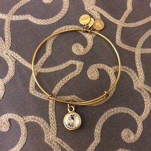 Alex and Ani bracelet
